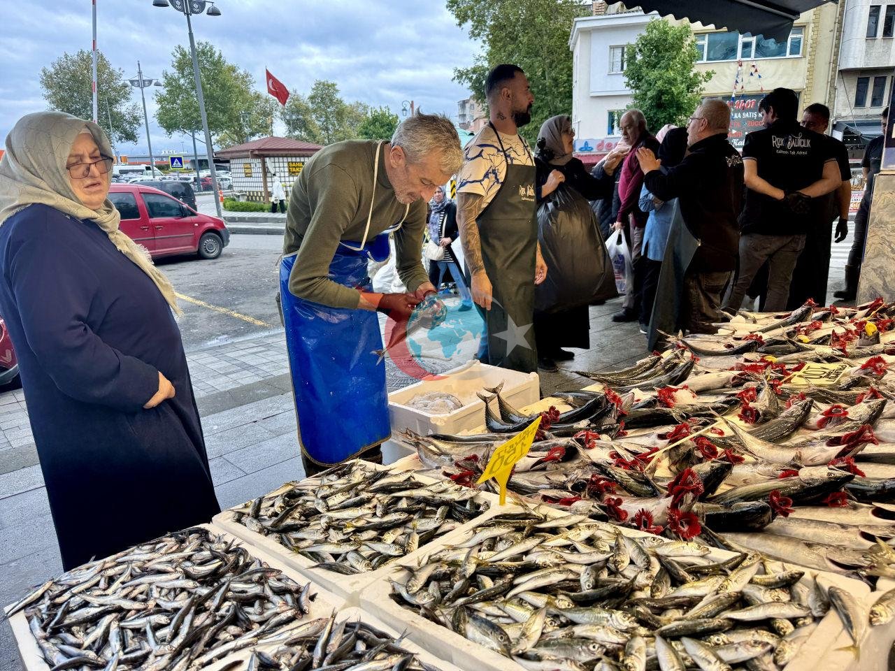 Trabzon'da Palamut Bolluğu: Tanesi 100 ila 125 Liradan Satılıyor
