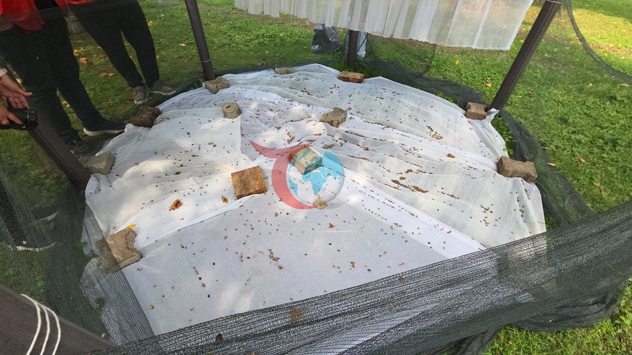 Ordu'da Kahverengi Kokarcayla Mücadele Toplantısı Yapıldı: 300 Bin Samuray Arısı Doğaya Salındı - görsel 2