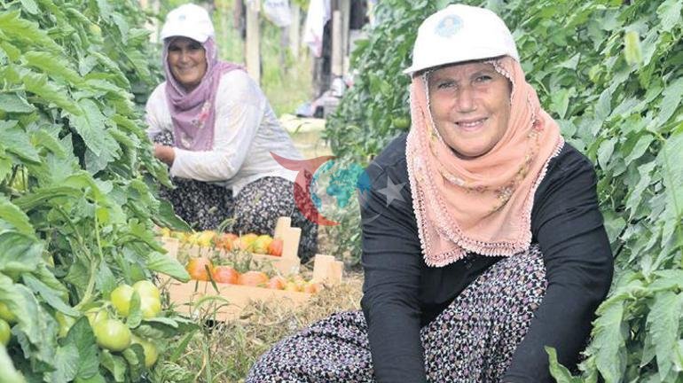 Bakanlıktan 65.5 milyar liralık kırsal kalkınma paketi | Kadın çiftçiler için projelere tam destek