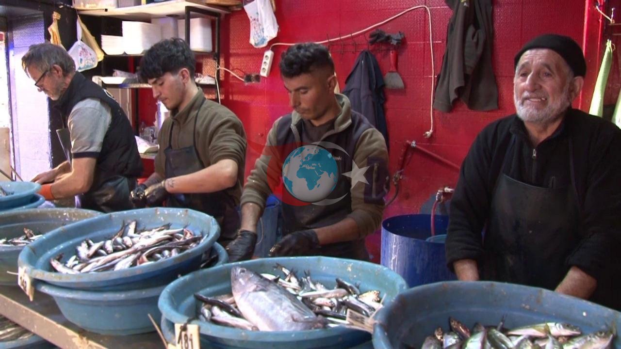 Eskişehirli balıkçılardan vatandaşlara "uygun fiyatlı balık stoklayın" çağrısı