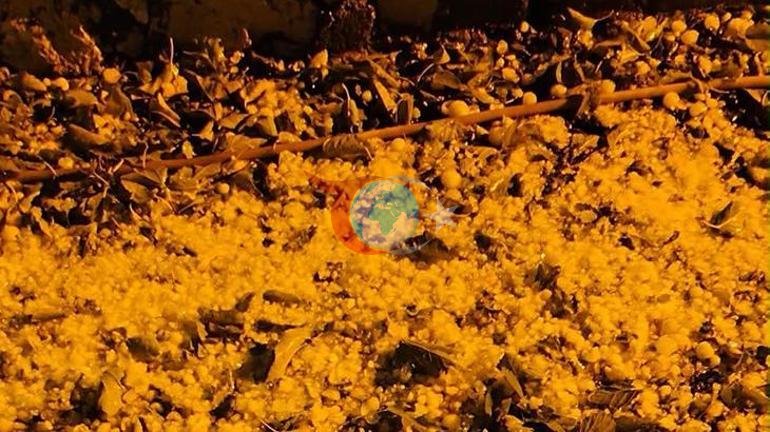 Ceviz büyüklüğünde yağdı Aniden bastıran dolu beyaza bürüdü