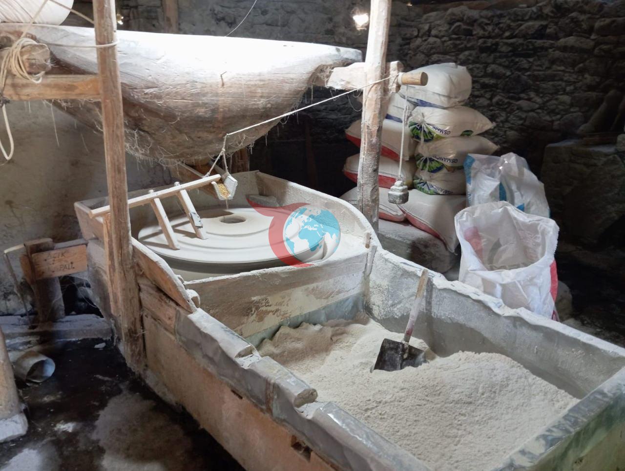 Giresun Alucra'da Üretici Ali Kaymakçı Ata Tohumuyla Köyün Un İhtiyacını Karşılıyor