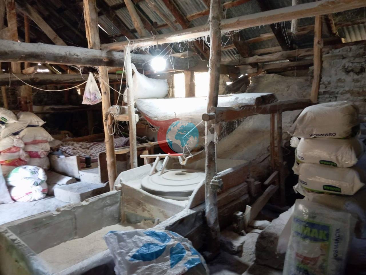 Giresun Alucra'da Üretici Ali Kaymakçı Ata Tohumuyla Köyün Un İhtiyacını Karşılıyor - görsel 2