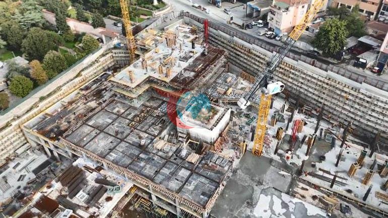 İstanbuldaki yalnız ağaç Çevresini binalar sardı, geleceği merak konusu