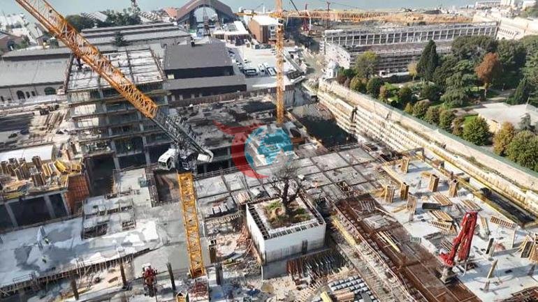 İstanbuldaki yalnız ağaç Çevresini binalar sardı, geleceği merak konusu