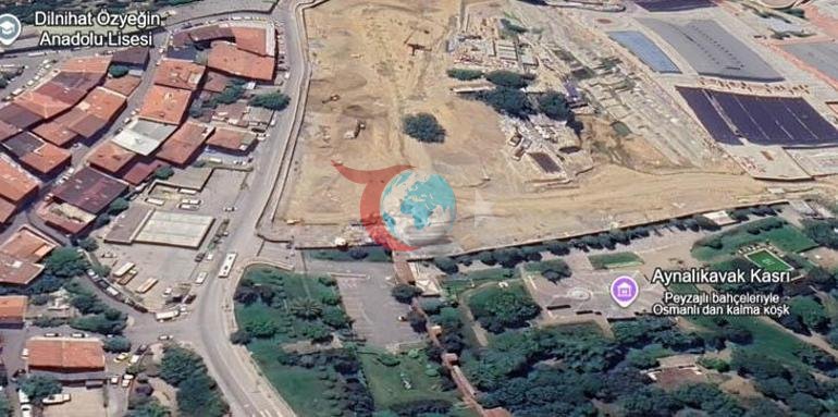 İstanbuldaki yalnız ağaç Çevresini binalar sardı, geleceği merak konusu