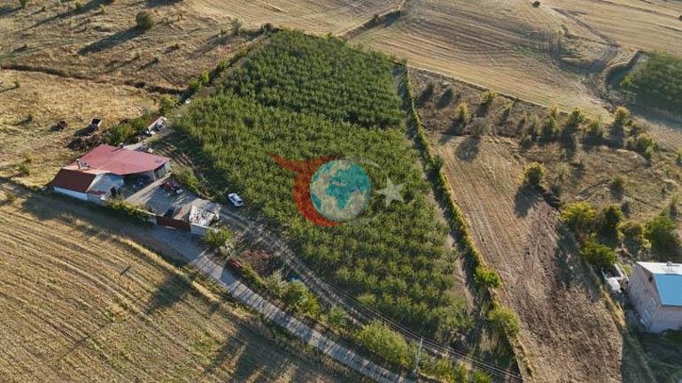 Çare Yozgat Almanyada bu işlerin olmayacağını anladım
