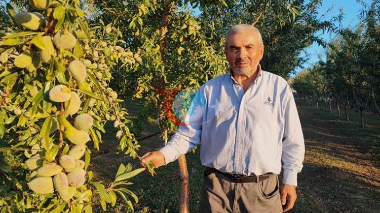 Çare Yozgat Almanyada bu işlerin olmayacağını anladım