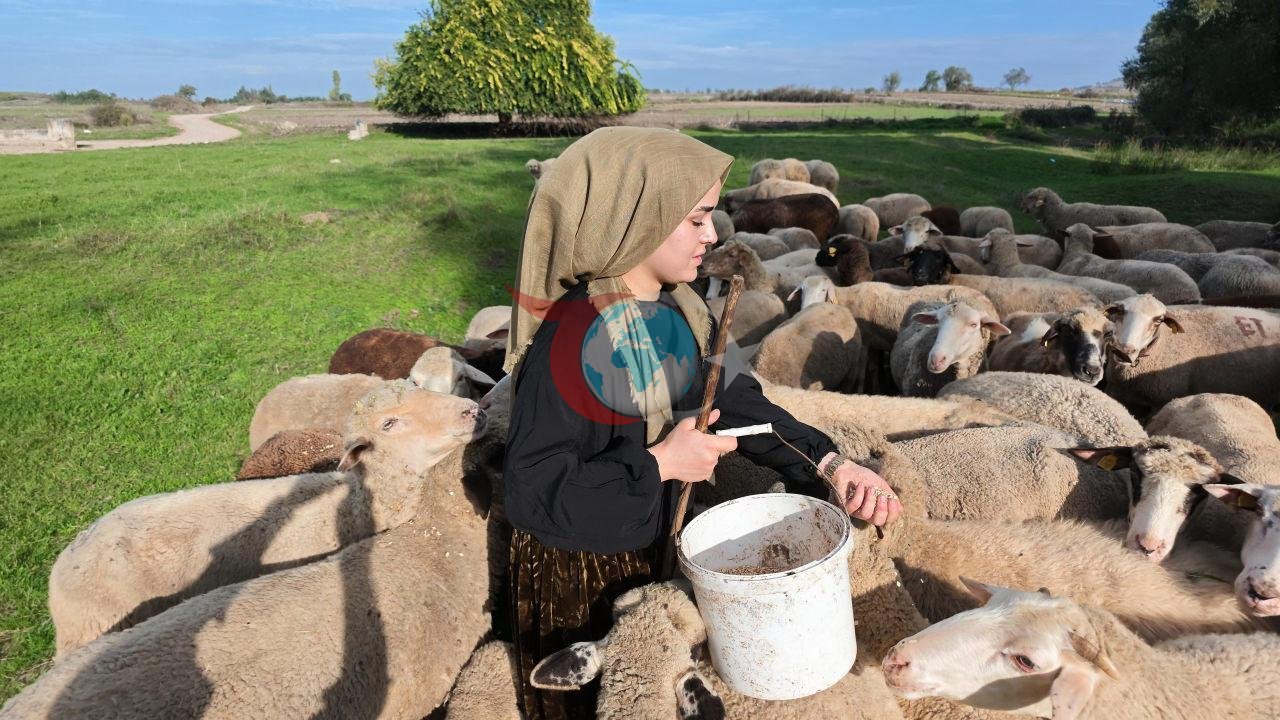 Balıkesir’de yaşayan 25 yaşındaki Sueda Demirci, 2022’de aldığı 100 bin liralık hibe desteğiyle koyun yetiştiriciliğine adım attı.