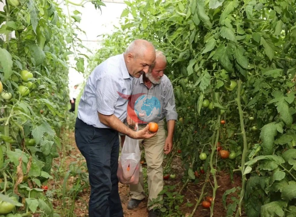 Gebze Belediye Başkanlığı Tarafından Yayınlanan İlan Duyurusu - görsel 8