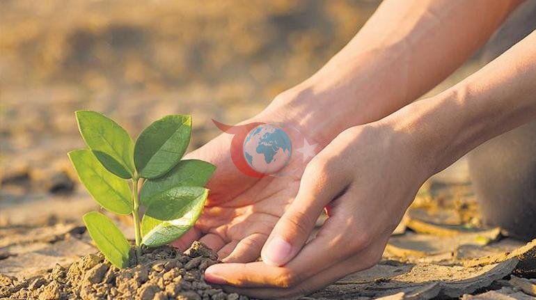 Adım adım COP31 Dünyanın gözü Türkiye’de
