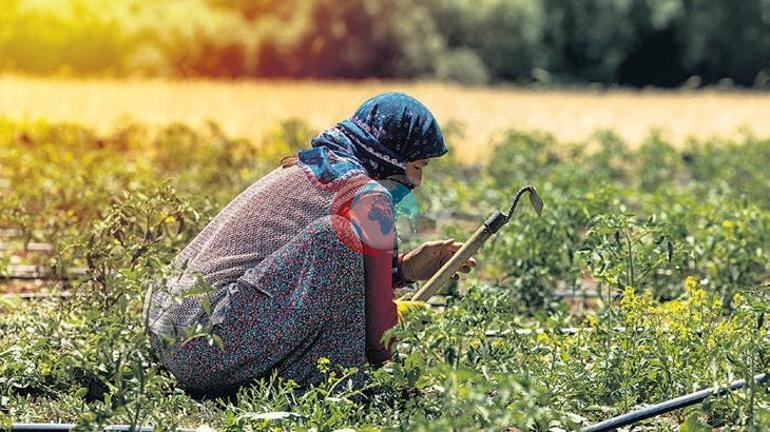 Cinsiyet eşitsizliği ile mücadelede adil geçiş planı