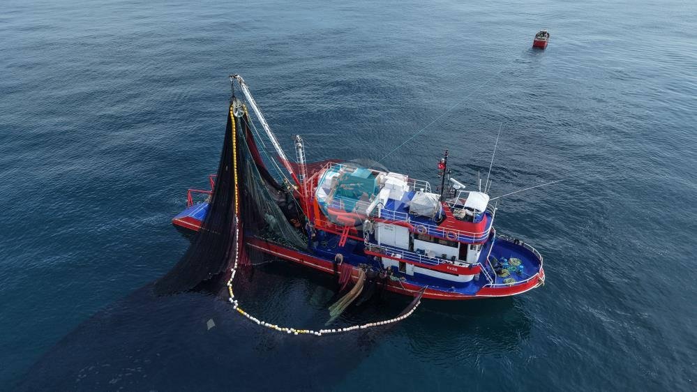 Karadeniz'de palamut bolluğu fiyatları düşürdü: Balıkçılar masraflarını karşılamakta zorlanıyor - görsel 2