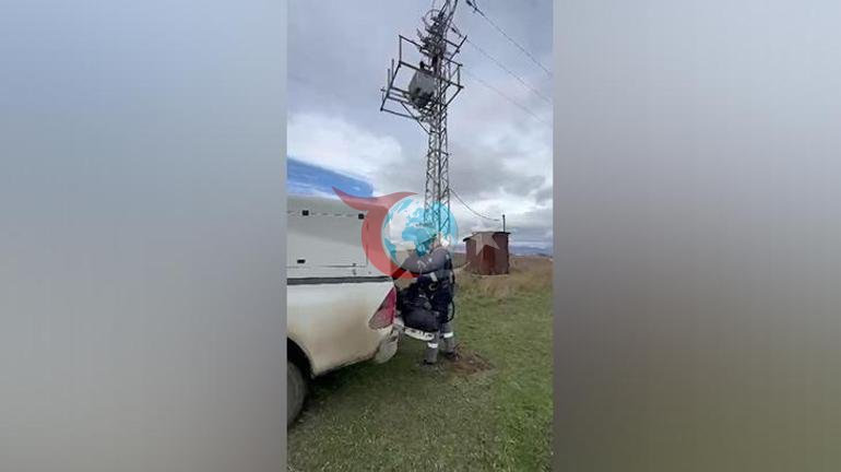Elektrik direğinde asılı kaldı Görenler ekiplere haber verdi: Akım kesilerek indirildi