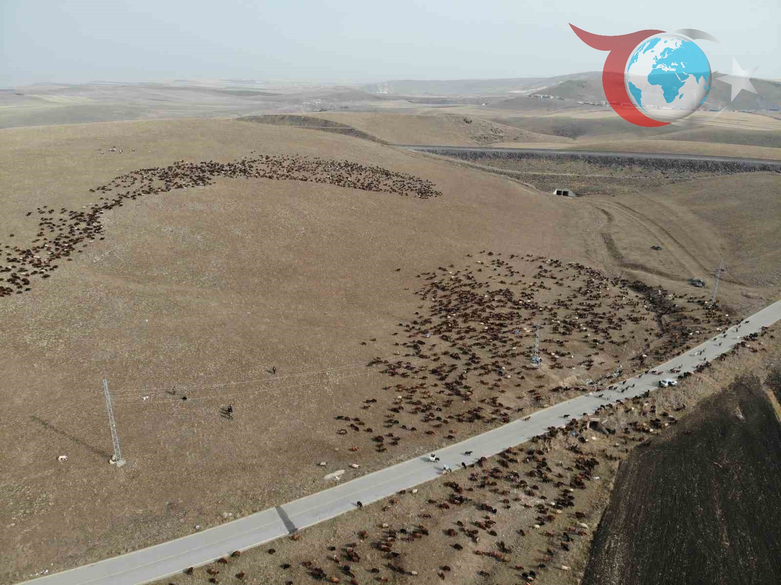 Kuzeydoğu Anadolu'nun Zorlu Göçü: Iğdır'a Dönüş Yolculuğu Başladı