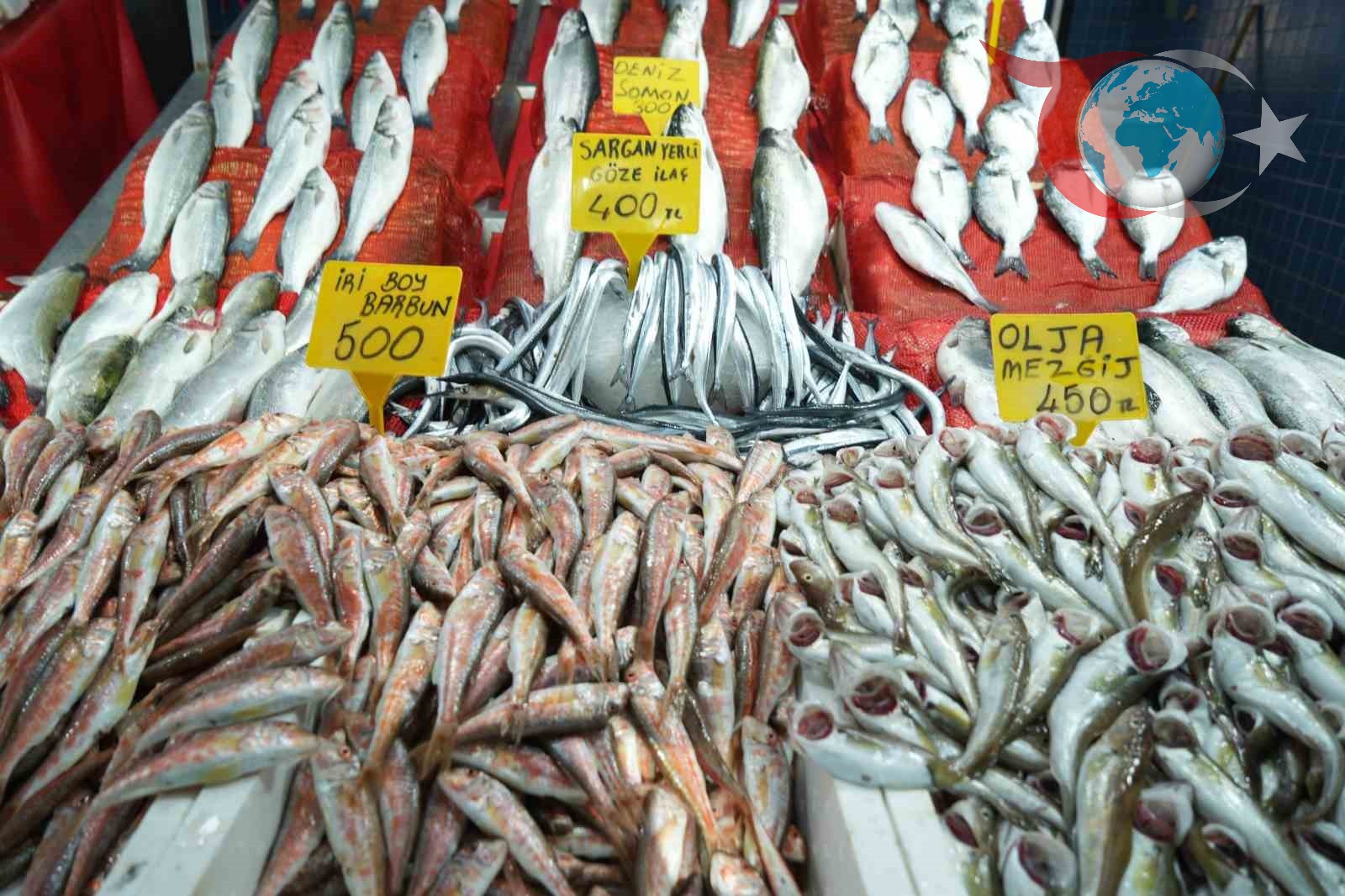 Samsun Balık Hali'nde Fiyatlar El Yakıyor: Hamsi Yine Zirvede