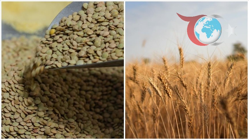 Yeşil Mercimek ve Yulaf İthalatında Yeni Gümrük Vergisi Düzenlemeleri