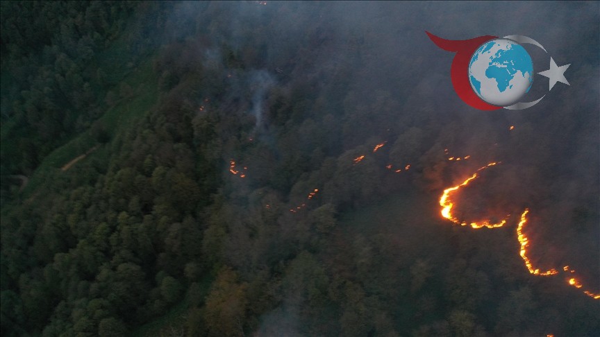 Artvin Hopa'da Devam Eden Örtü Yangınına Karşı Yoğun Müdahale