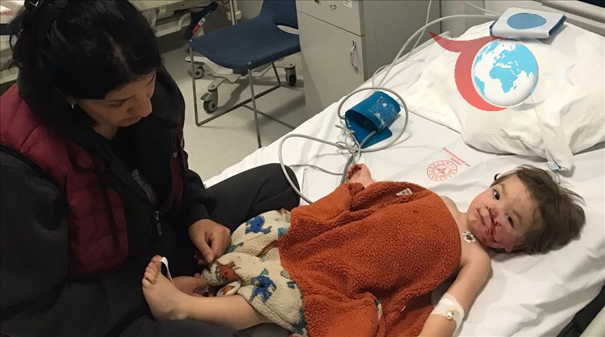 Ankara'da Pitbull Saldırısı: İki Kardeş Hastaneye Kaldırıldı