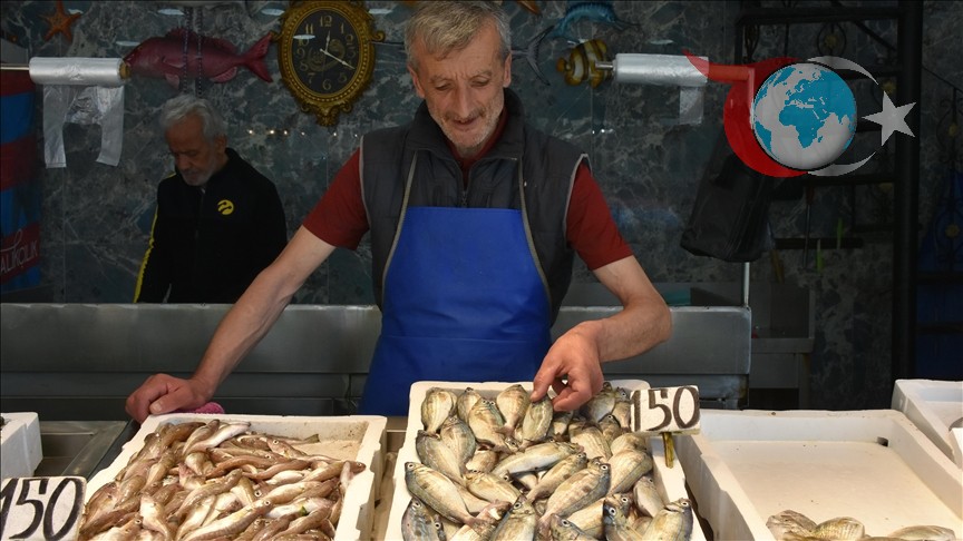 Trabzon'da Balık Fiyatları Düşüşte