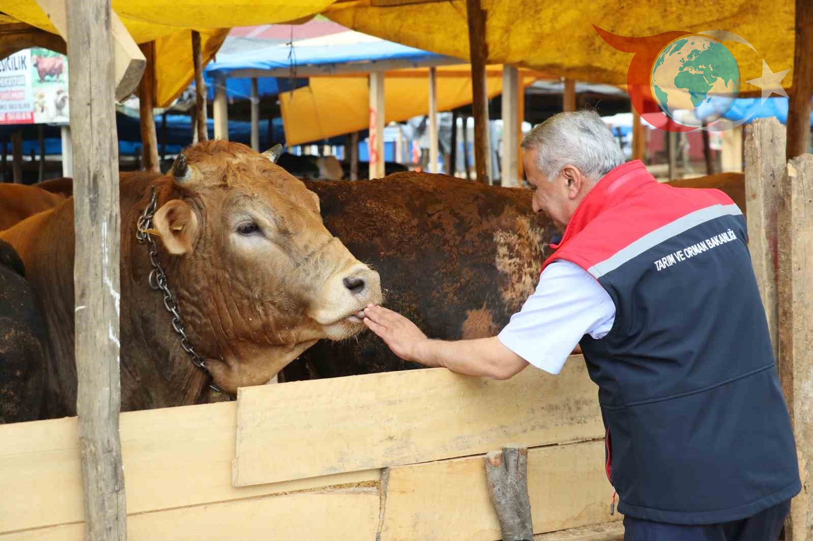 Samsun'da Kurban Bayramı Hazırlıkları: Önemli Uyarılar ve Detaylar