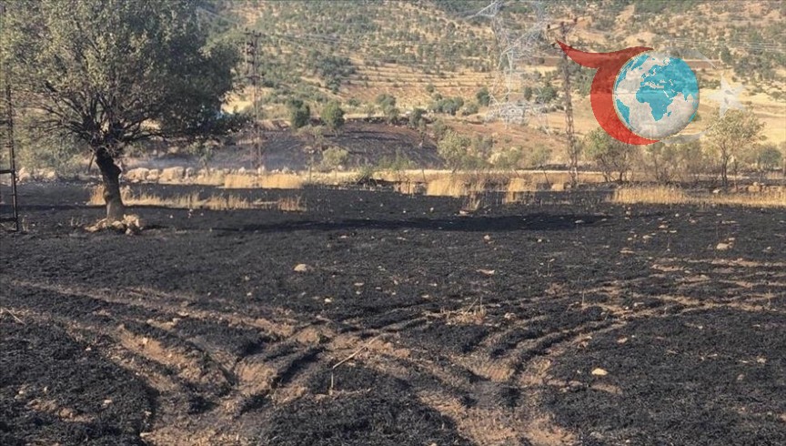 Şırnak'ta Buğday Tarlasında Çıkan Yangın Paniğe Yol Açtı