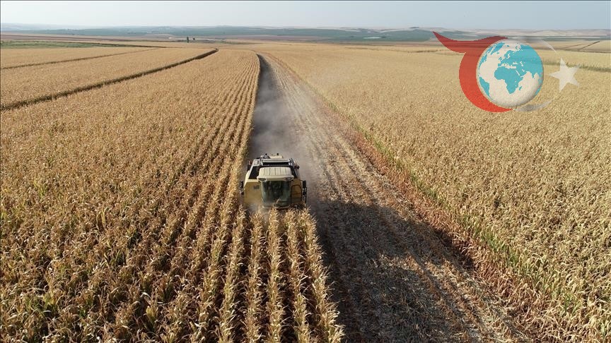 Kasım Ayında Tarım ÜFE'de Dikkat Çeken Değişimler