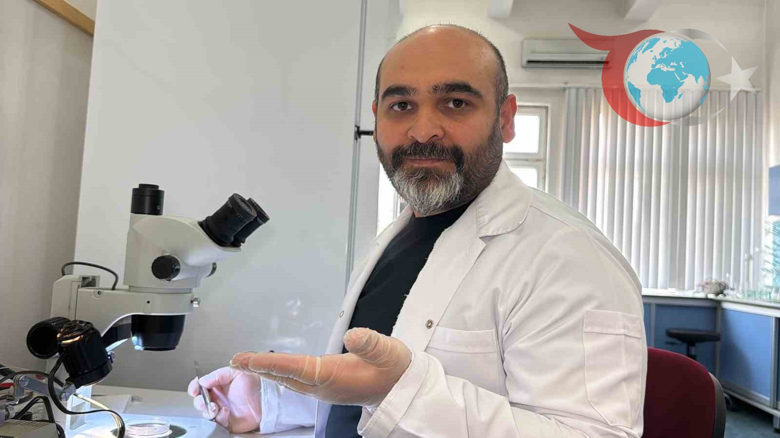 Türkiye'de İlk Kez Asya Uzun Boynuzlu Kenesi Tespit Edildi