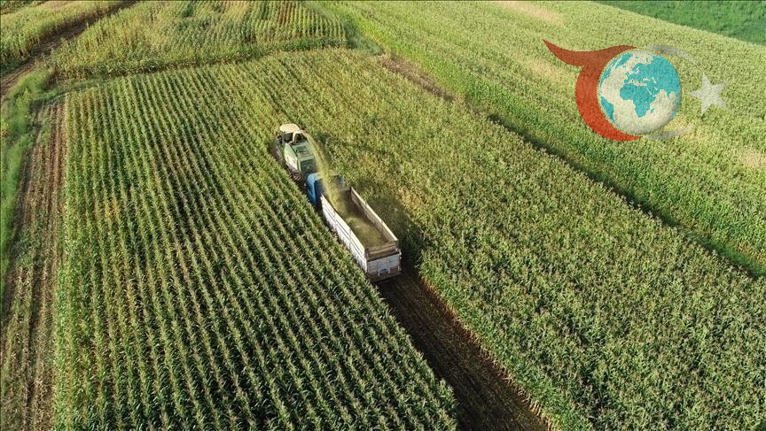 Türkiye'de Tarım Sayımı Başlıyor: Tüm Detaylar Açıklandı