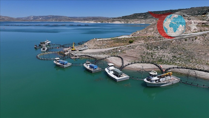 Kayseri'den Dünyaya Türk Somonu İhracatı