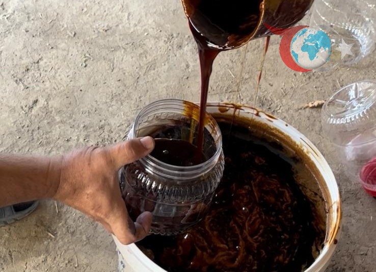 Erzurum'da Geleneksel Dut Pekmezi ve Pestil Üretimi