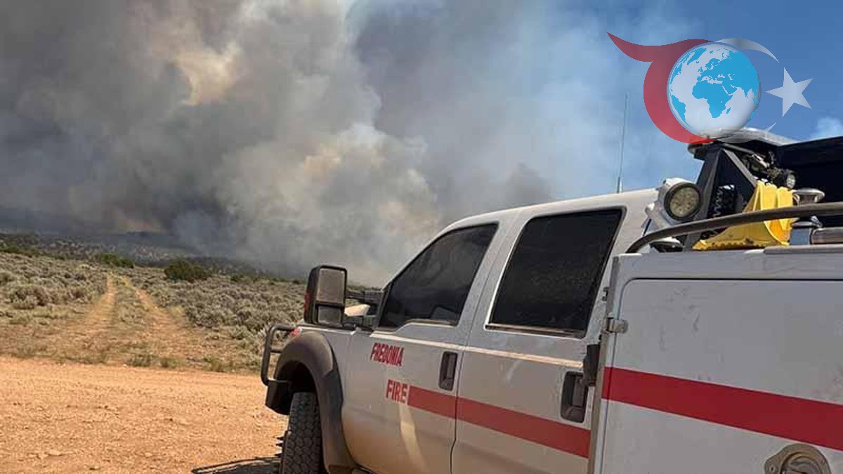 Arizona'nın Büyük Kanyon Milli Parkı'nda Yıldırım Çıkışlı Orman Yangını Kontrol Altına Alınmaya Çalışılıyor