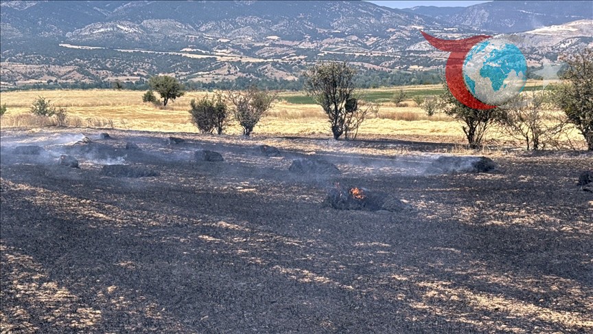 Kastamonu'da Tarım Arazisinde Çıkan Yangın Panik Yarattı