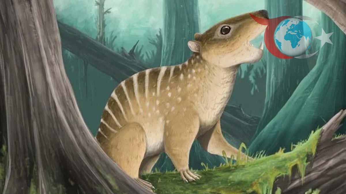 Dorset Kayalıklarında Keşfedilen Yeni Memeli Türü: Novaculadon mirabilis
