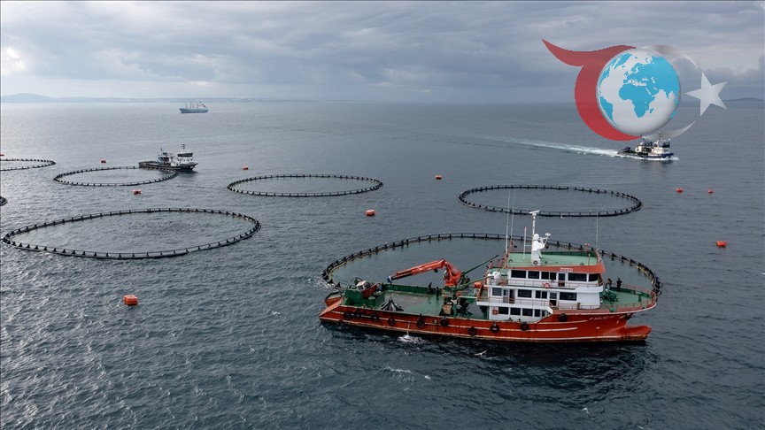 Türk Su Ürünleri İhracatında Yeni Rekorlar: 2024 Hedefleri ve Stratejiler