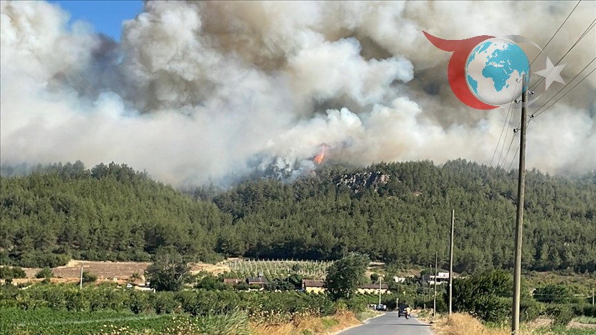 Sakarya’da Orman Yangını Kontrol Altına Alınmaya Çalışılıyor