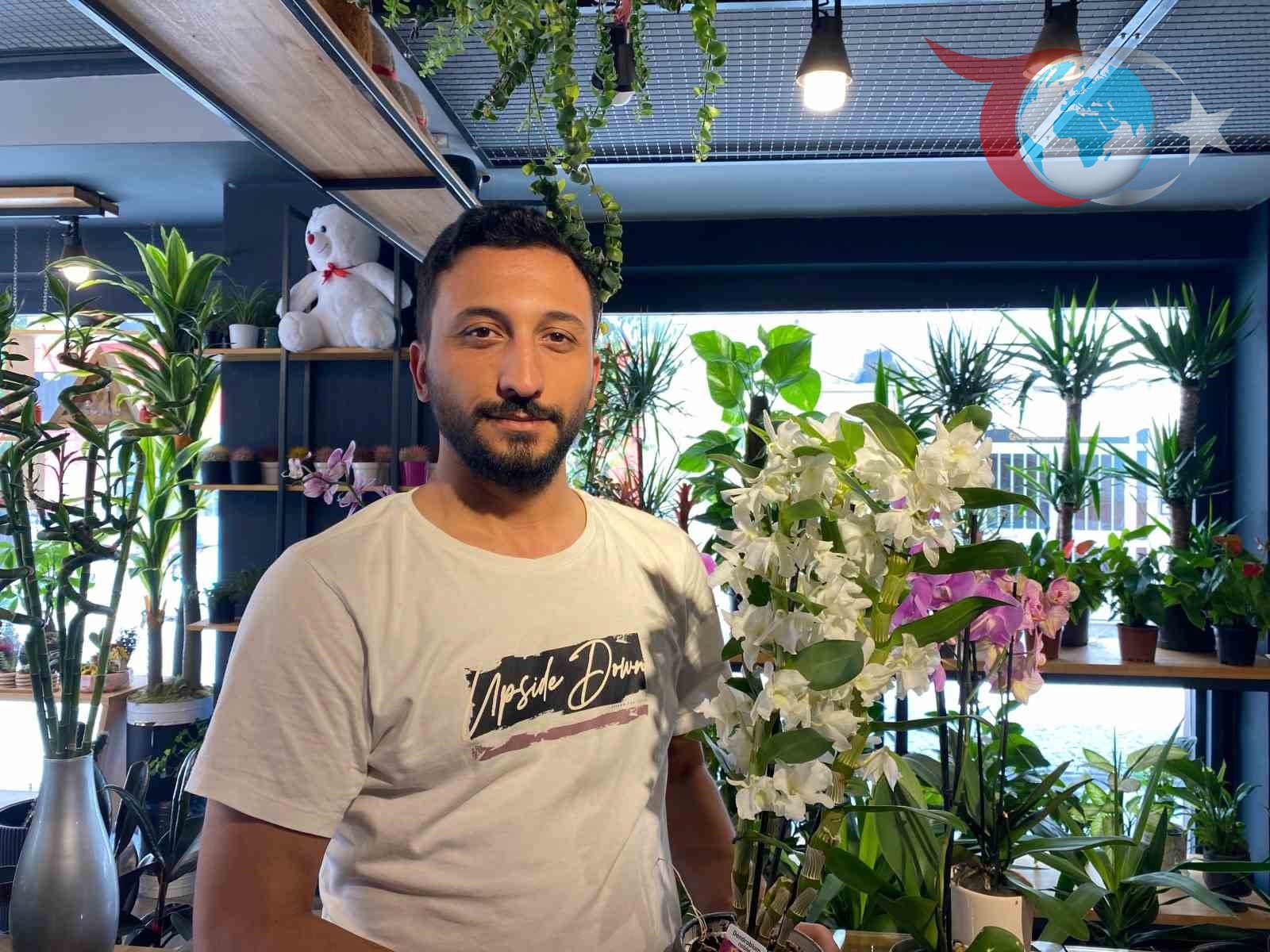 Yaz Aylarında Bitkilerinizi Nasıl Koruyabilirsiniz? İpuçları ve Uyarılar