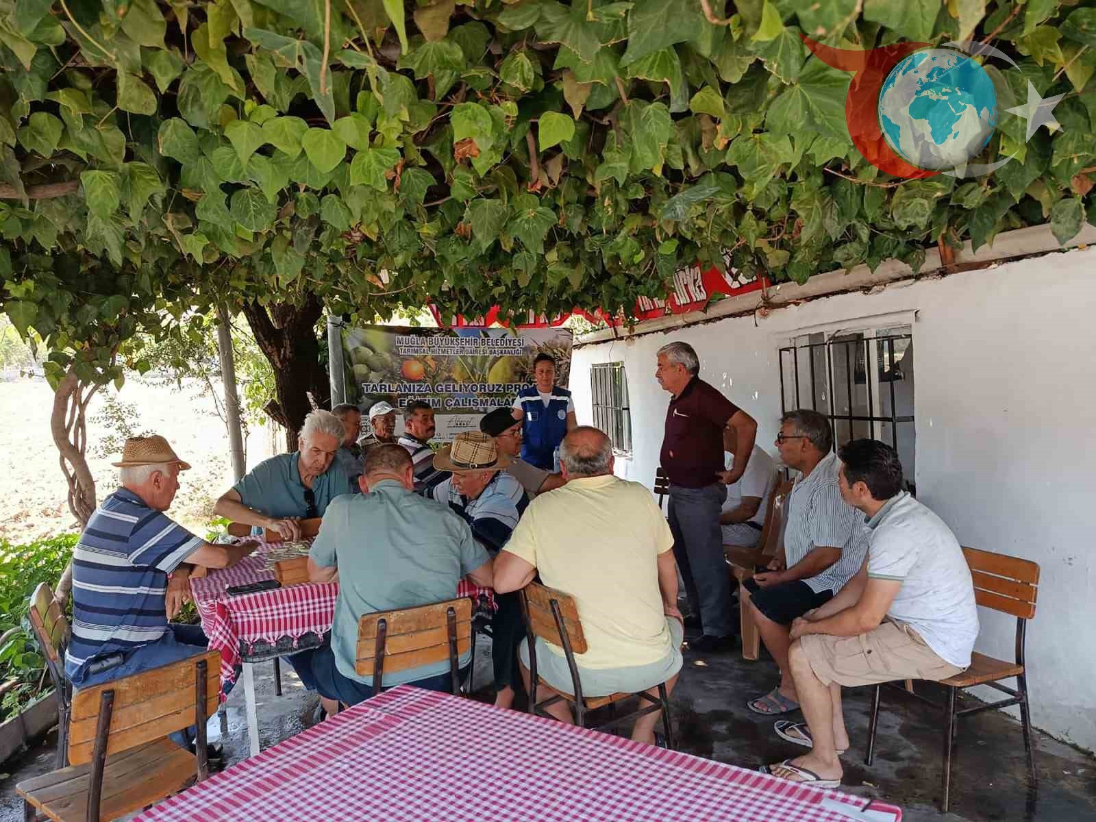 Muğla Belediye'den Zeytin Üreticilerine Eğitim Atağı