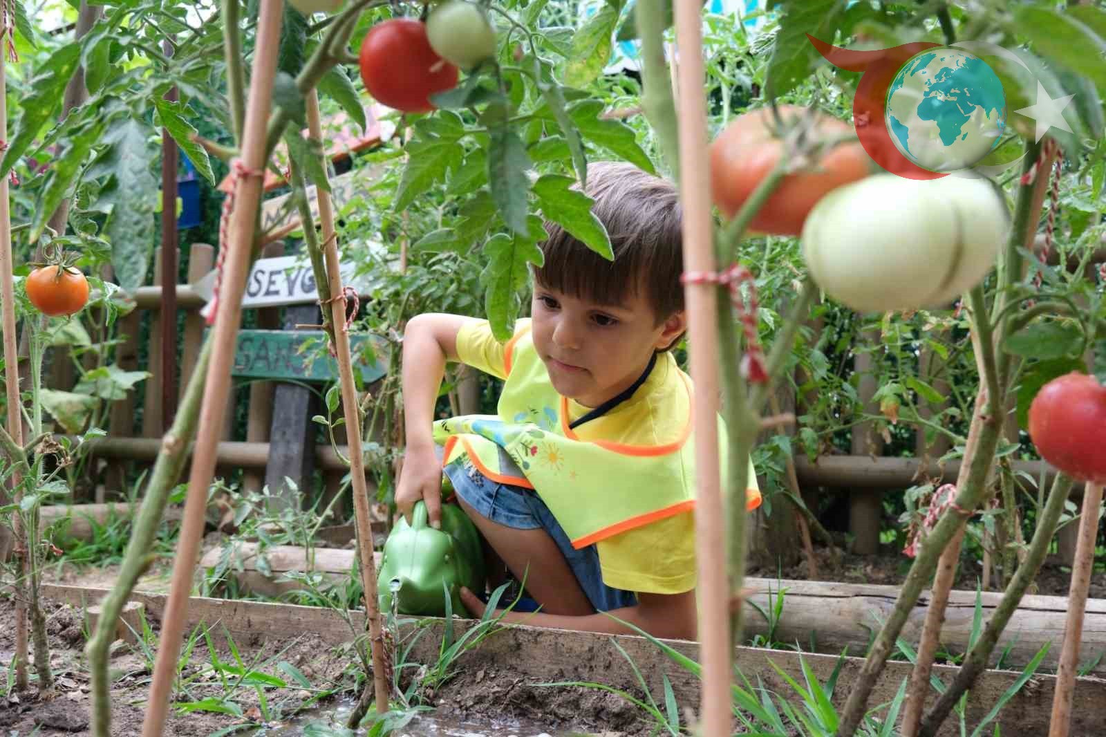 Minik Ellerden Büyük İşler: Çocuklar Doğayla Buluşuyor