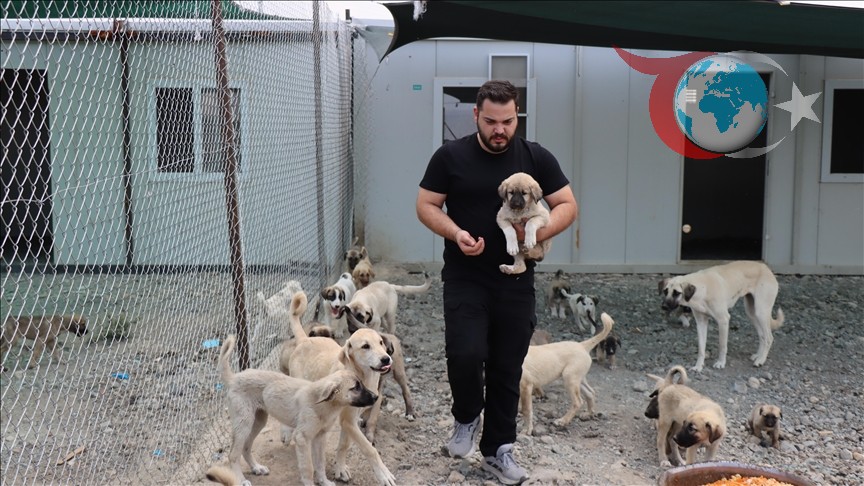 Erzincan'da Artık Yemekler Hayvan Mamasına Dönüşüyor
