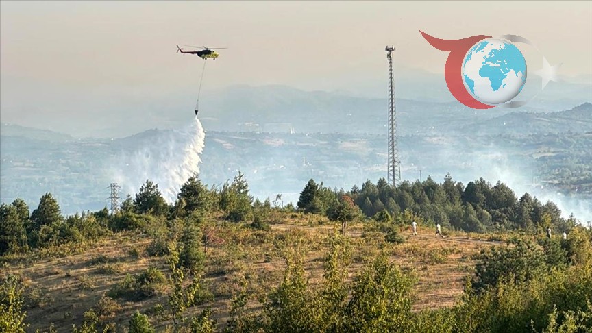 Köyde Orman Yangını: Ekiplerin Hızlı Müdahalesiyle Tehlike Kontrol Altına Alındı