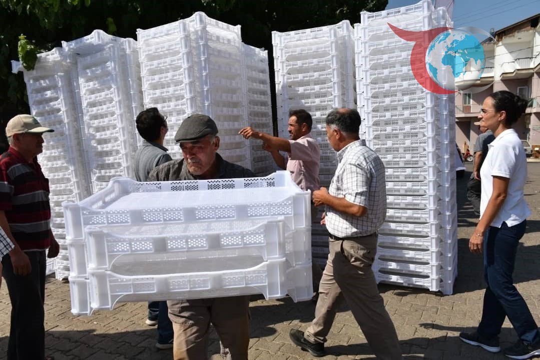 Aydın'da İncir Kalitesini Artıracak Dev Hamle: 11 Bin Kerevet Üreticilere Dağıtılıyor