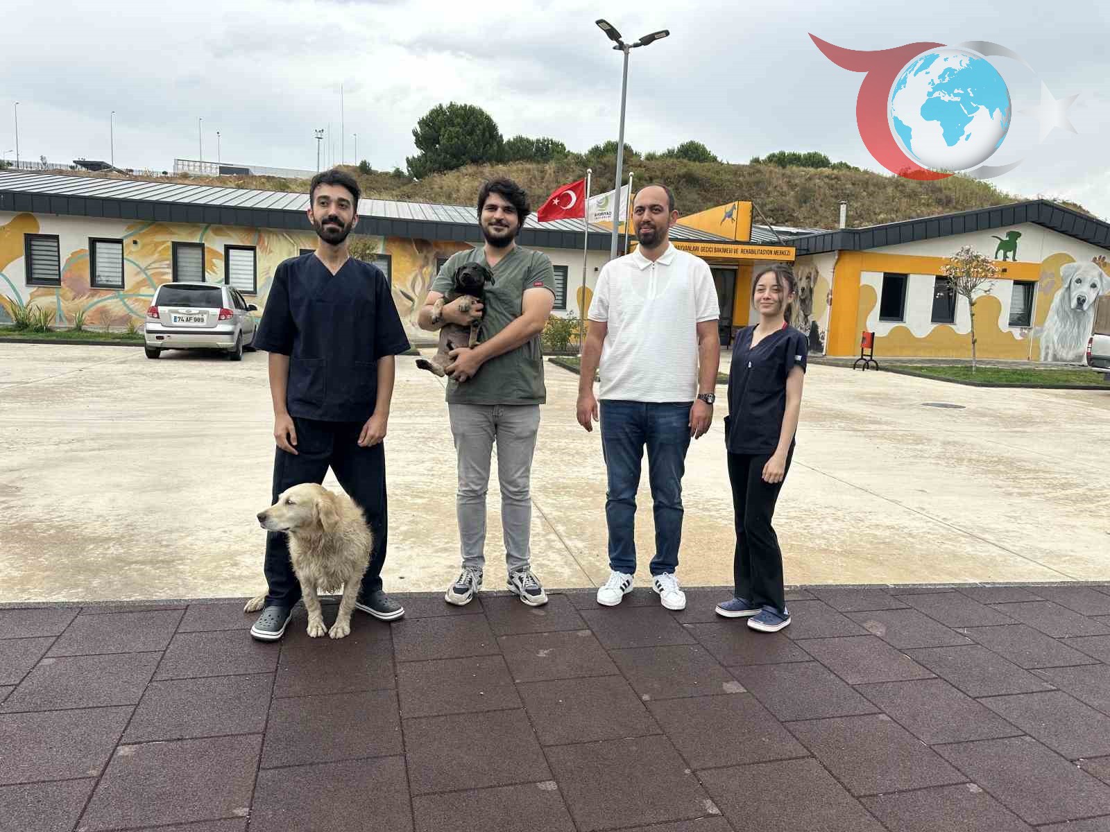 Çayırova'da Ziftten Kurtulan Yavru Köpek Yeni Yuvasına Kavuşuyor
