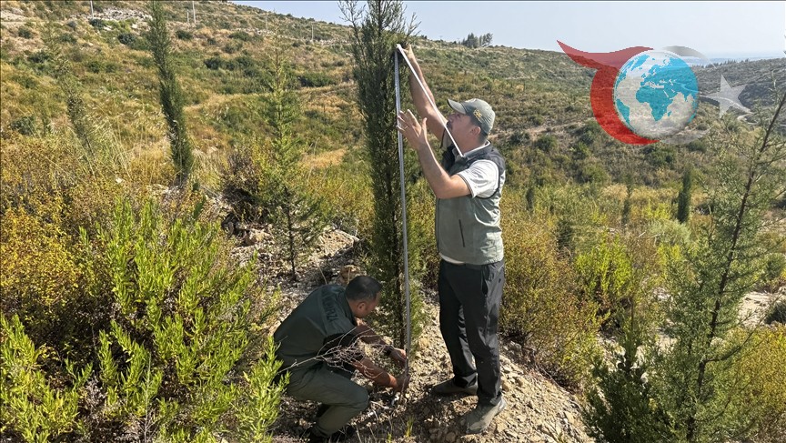 Antalya'nın Yeşile Dönüş Hikayesi