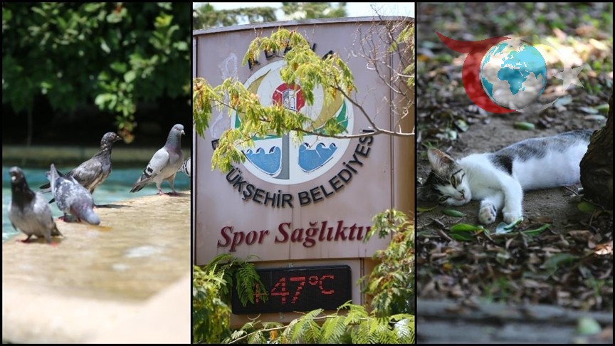 Türkiye'de Aşırı Sıcaklıklar: 16 İlde 40 Derecenin Üzerinde