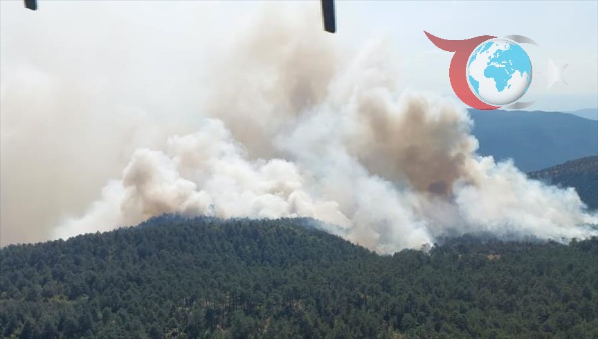 Sinop'ta Orman Yangını: Köklen Köyü Tahliye Edildi