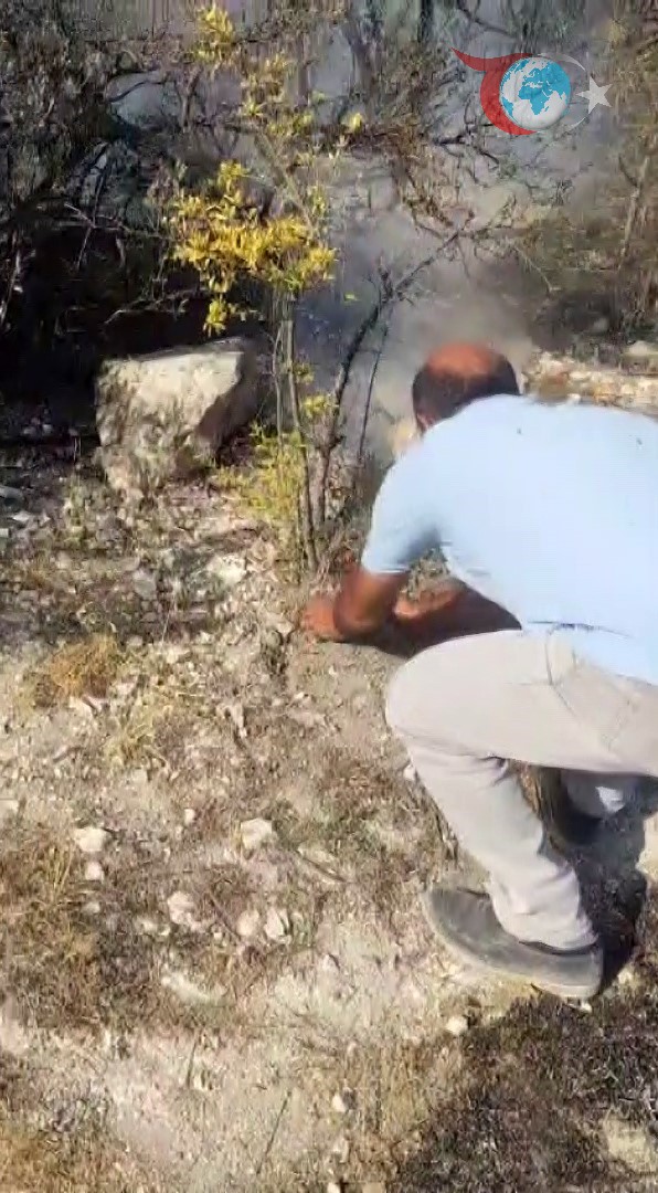 Yayladağı'nın Kahramanları: Orman Yangınına Avuçlarıyla Müdahale Ettiler