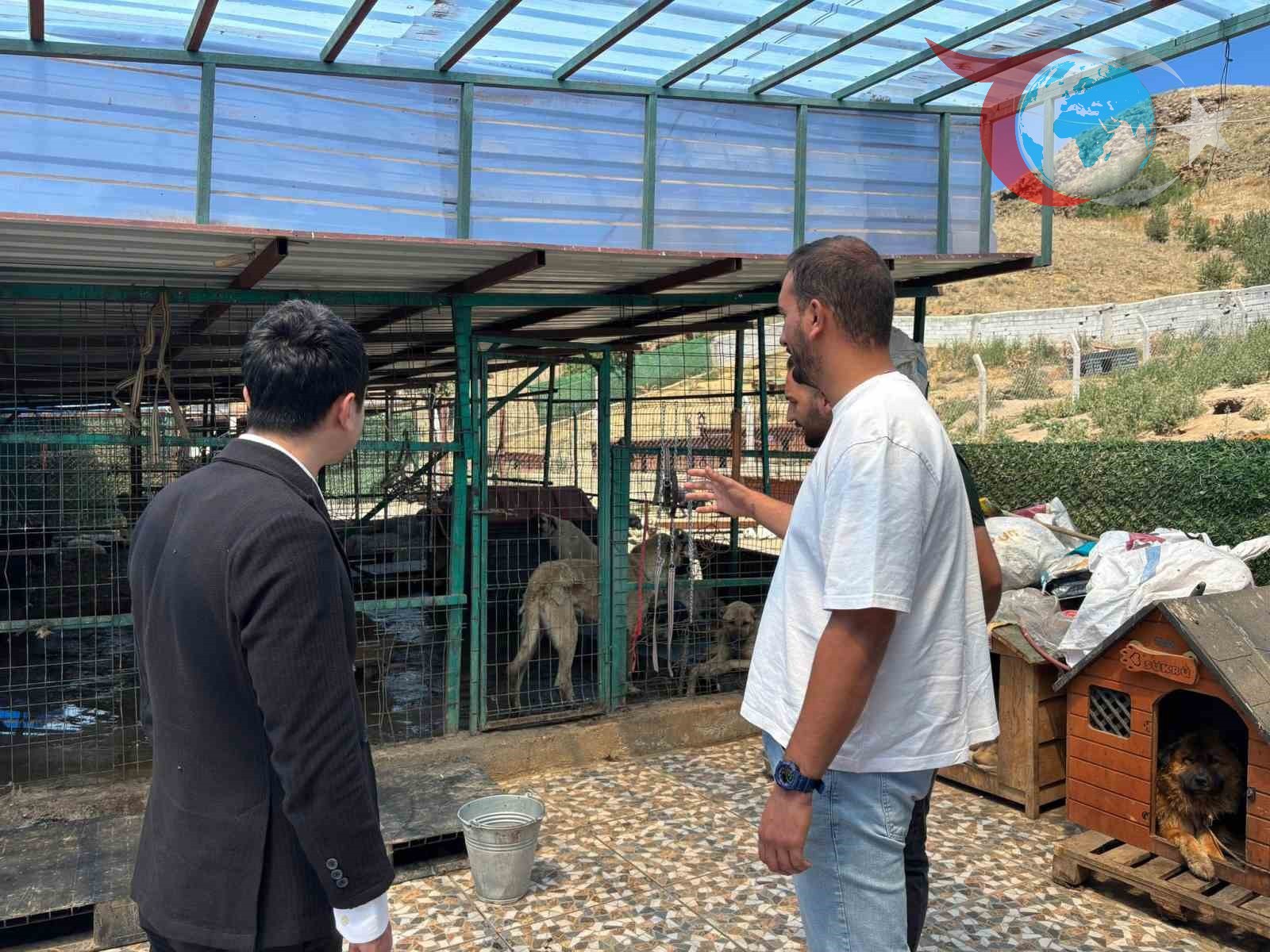 Kaymakam Tutal’dan Hayvan Barınağına Anlamlı Ziyaret