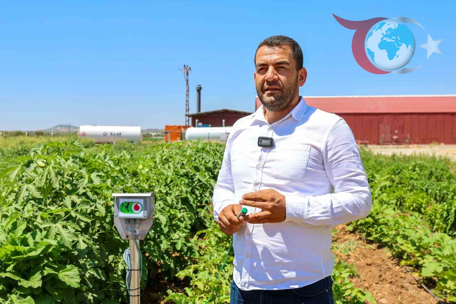 Gaziantep'te Ata Tohumları Kadın Çiftçilerle Yeniden Hayat Buluyor