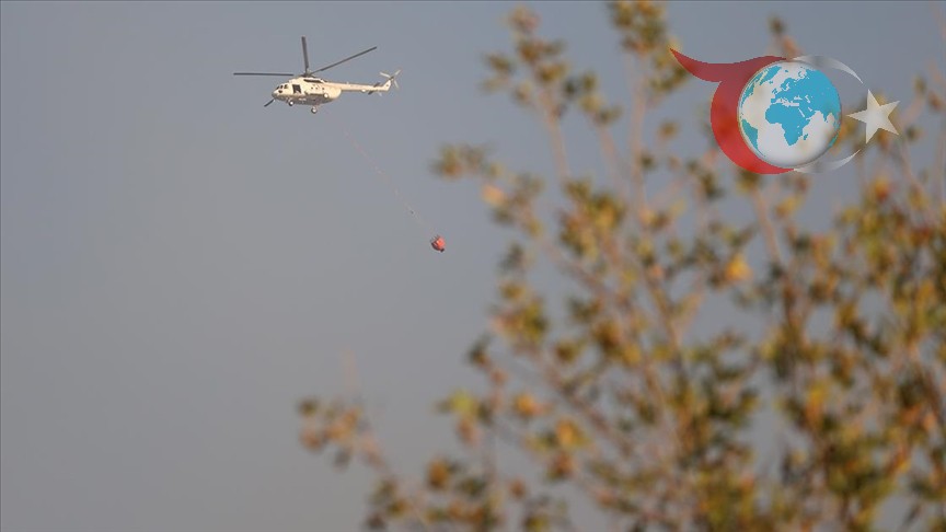 Ankara ve Hatay'da Ürkütücü Orman Yangınları: Müdahale Çalışmaları Devam Ediyor